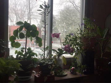 Chambre Chez L'habitant Montréal 254869-5