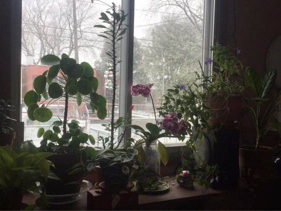 Zakwaterowanie U Rodziny Montréal 254869-5