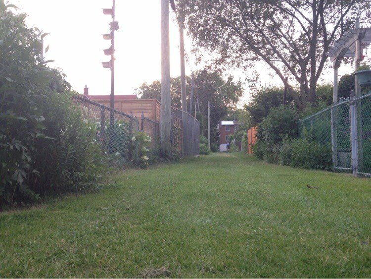 Chambre Chez L'habitant Montréal 254869