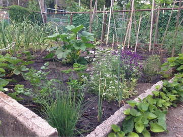 Chambre Chez L'habitant Montréal 254869-11