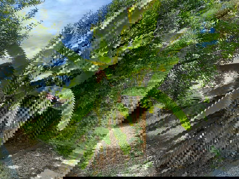 Coliving Le Havre 641668-2