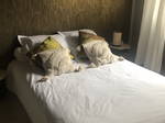 Chambre Chez L'habitant Rennes 603652