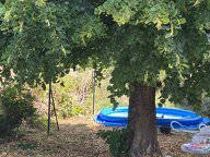 Chambre Chez L'habitant Valette 232644-11