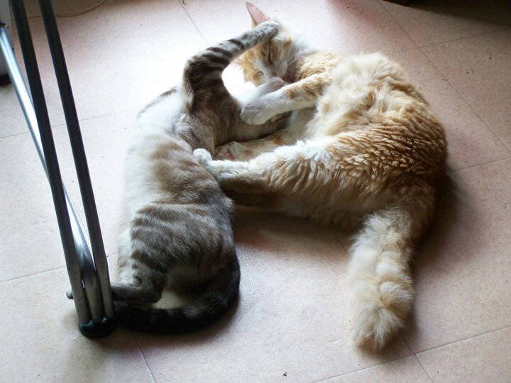 Zakwaterowanie U Rodziny Biarritz 56812-1