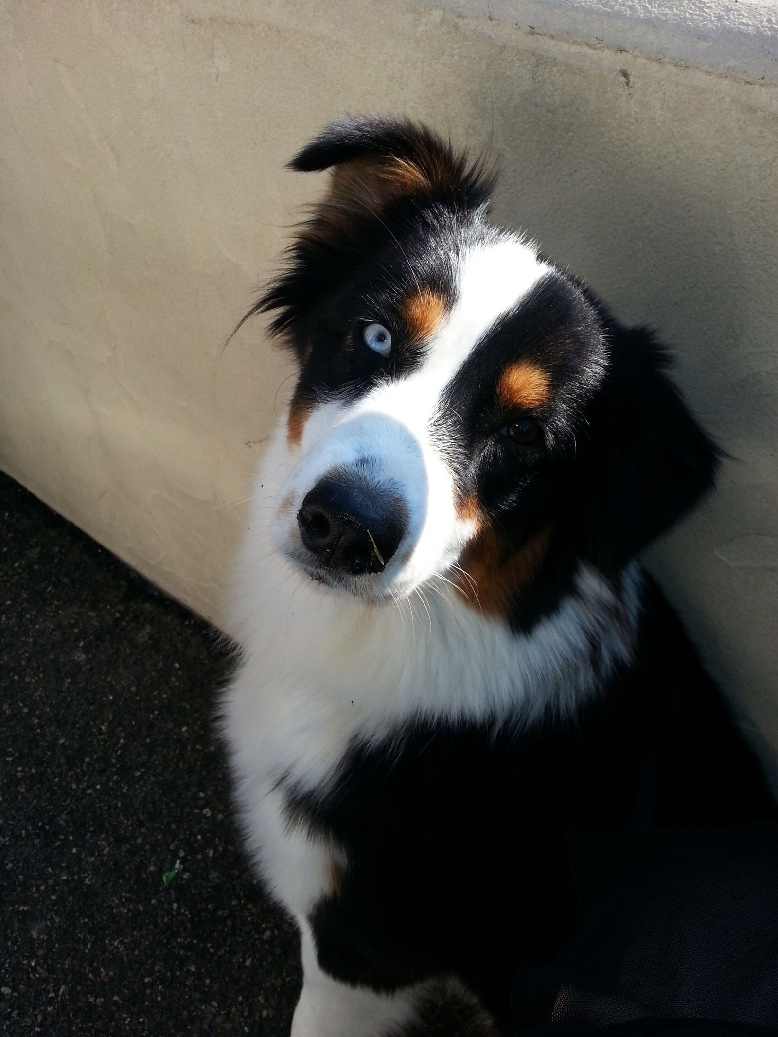 Chambre Chez L'habitant Biarritz 56812