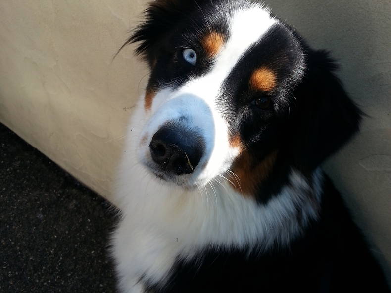 Zakwaterowanie U Rodziny Biarritz 56812-2