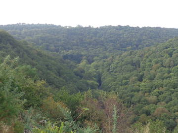 Chambre Chez L'habitant Ergué-Gabéric 117339-4