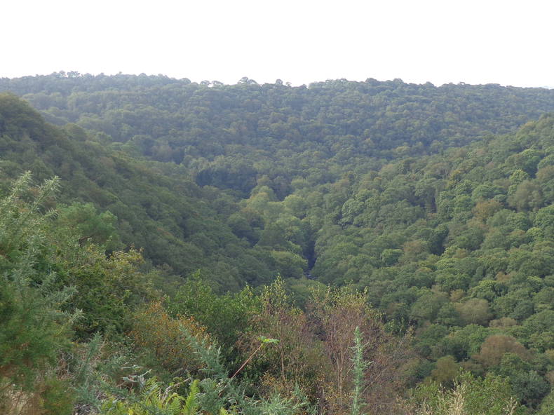 Chambre Chez L'habitant Ergué-Gabéric 117339-4