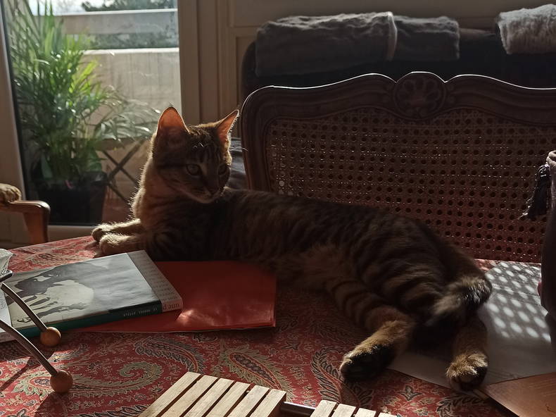 Gastfamilie Rillieux-la-Pape 11532-1