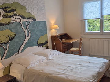 Chambre À Louer Toulouse 252494