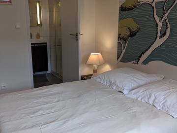 Chambre À Louer Toulouse 252494