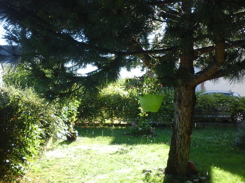 Hospedagem Em Casa De Família La Riche 178730-5