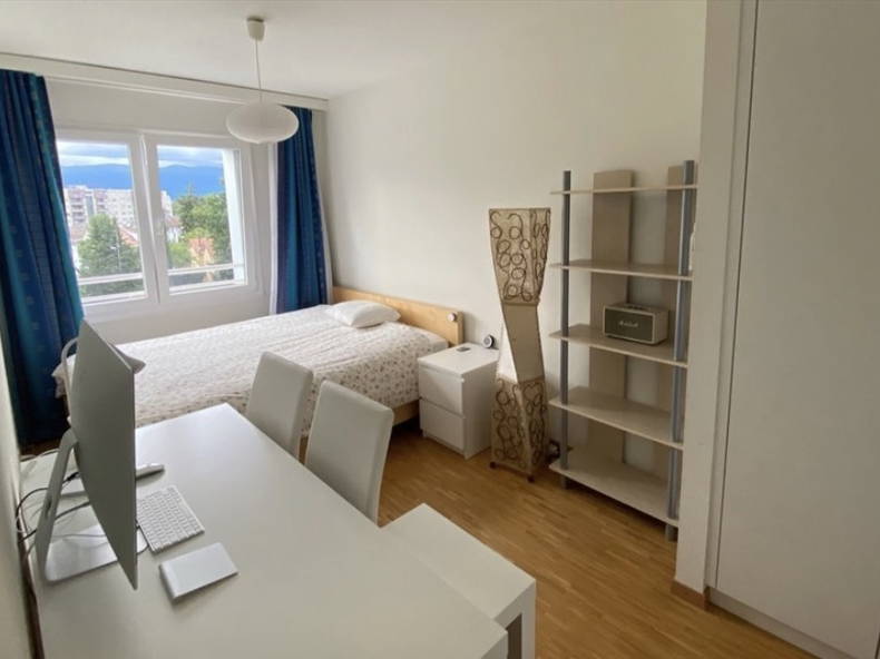 Gastfamilie Vernier 238346-1