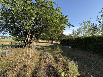 Colocation à louer à Tentlingen - photo 6-6