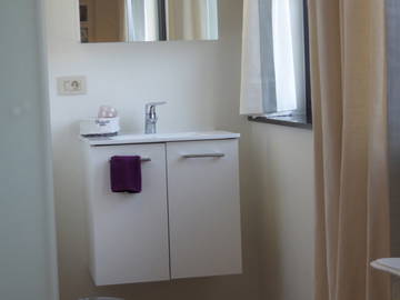 Chambre chez l'habitant à louer à Molenbeek-Saint-Jean - photo 5 : salle de bain-5