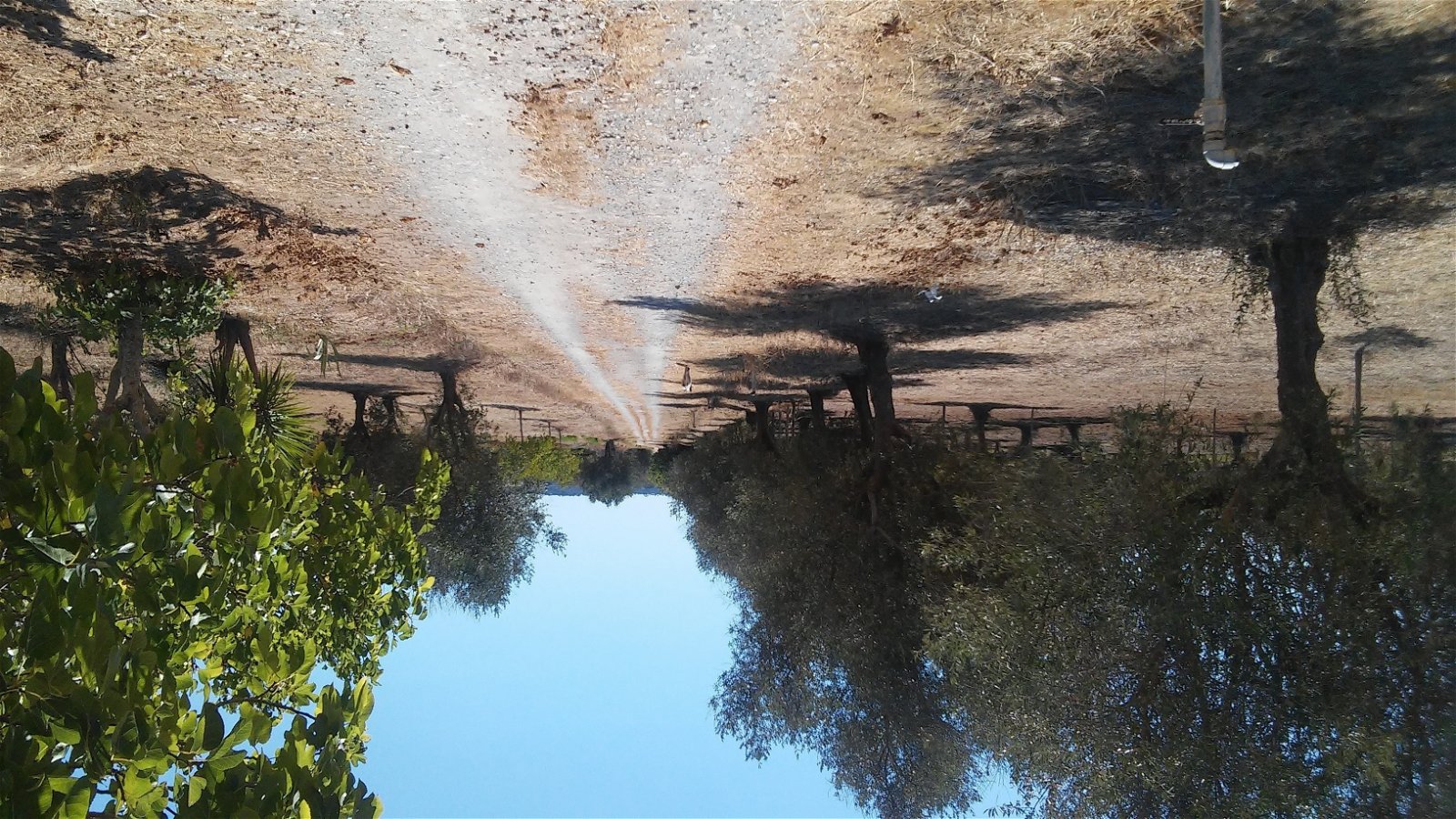 Kotimajoitus District de Santarém 162241