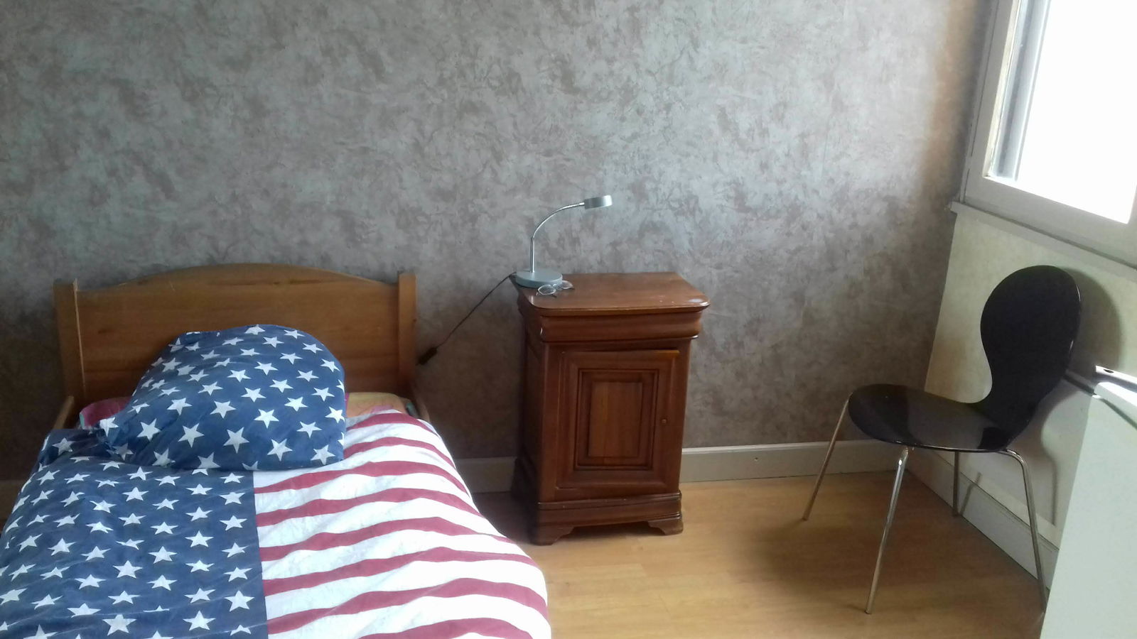 Chambre Chez L'habitant Villeurbanne 202958