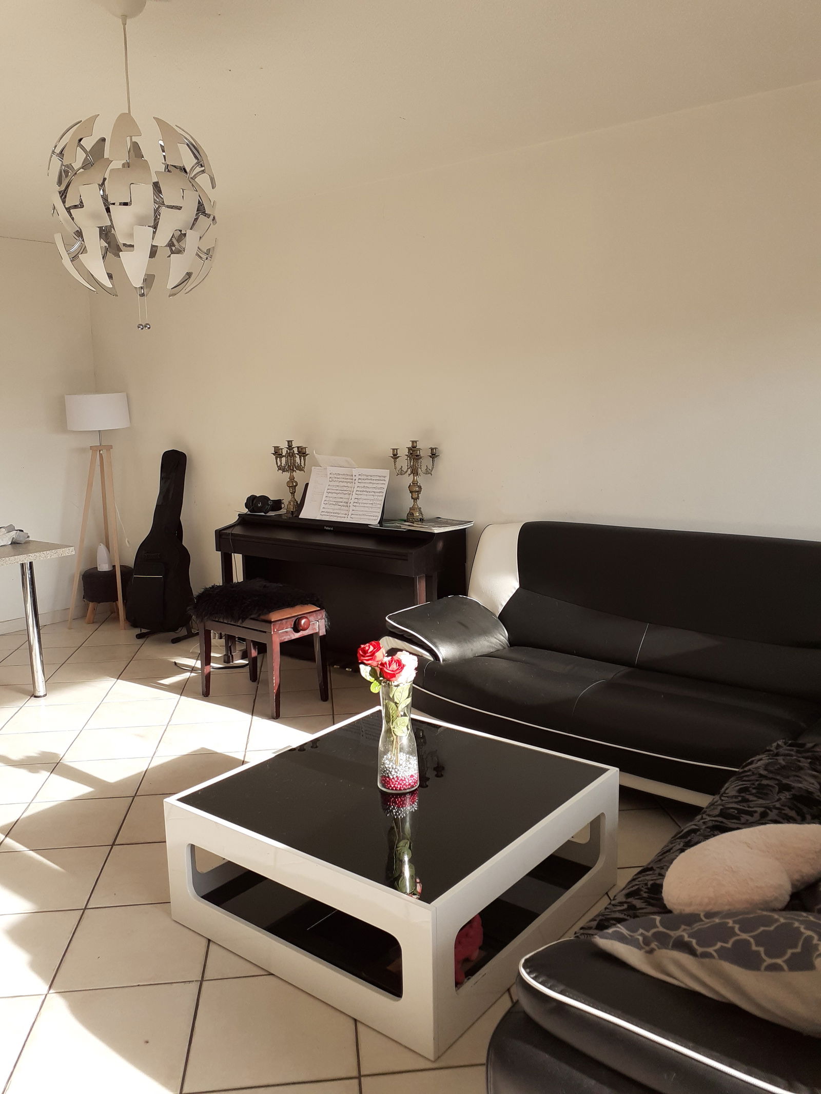 Chambre Chez L'habitant Villeurbanne 202958