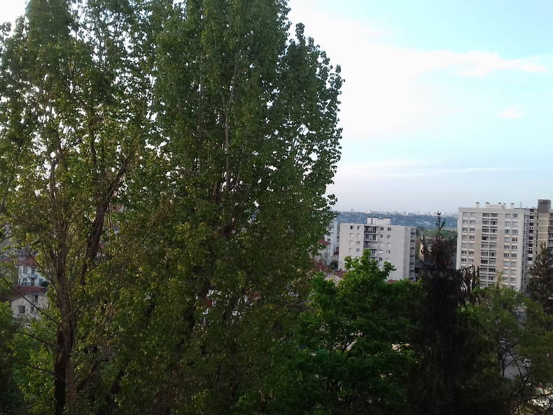 Homestay Villeurbanne 202958-5