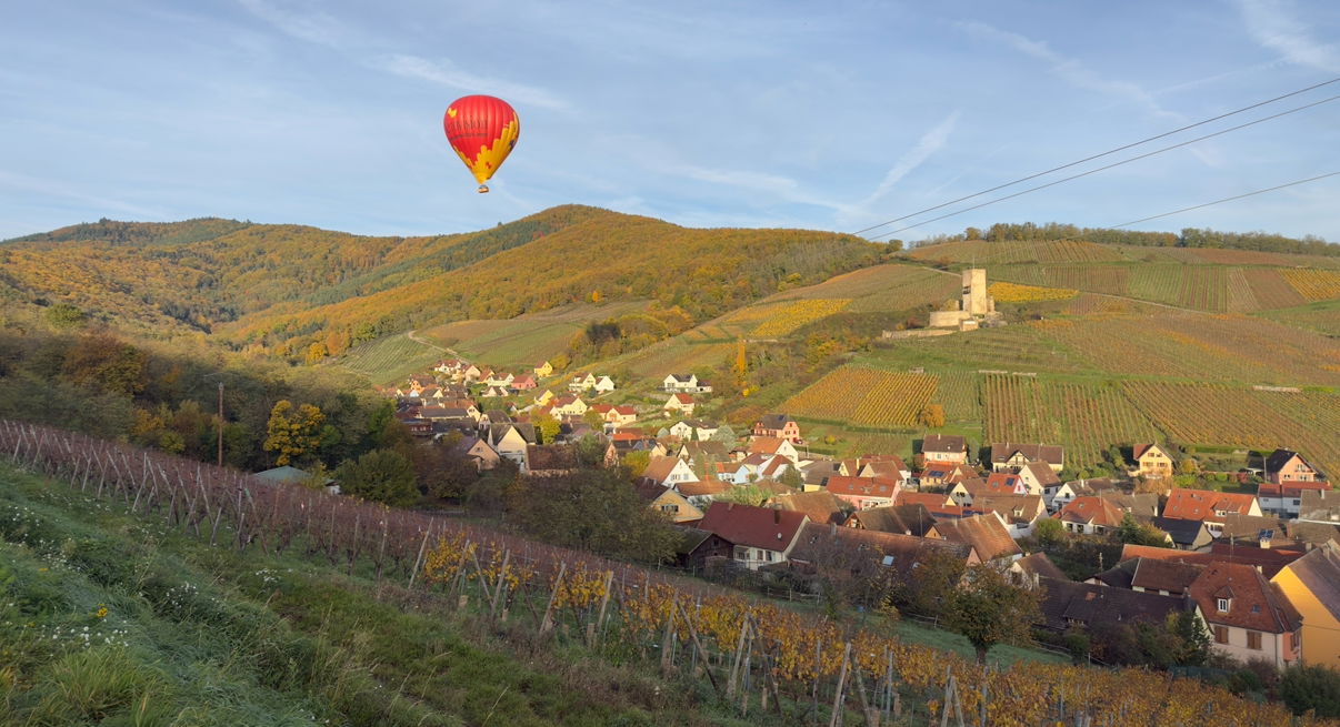 Colocation Katzenthal 660793