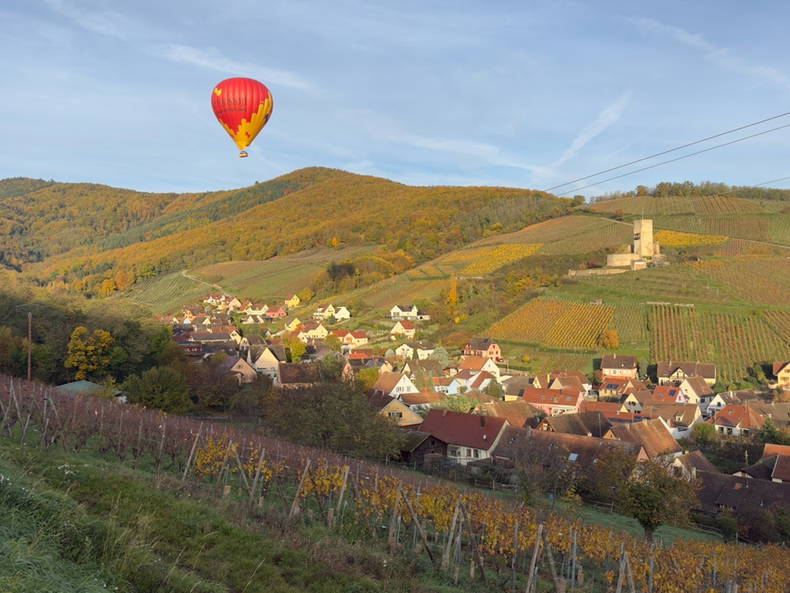 Colocation Katzenthal 660793-5