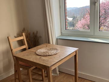 Chambre chez l'habitant à louer à Profondeville - photo 5-5
