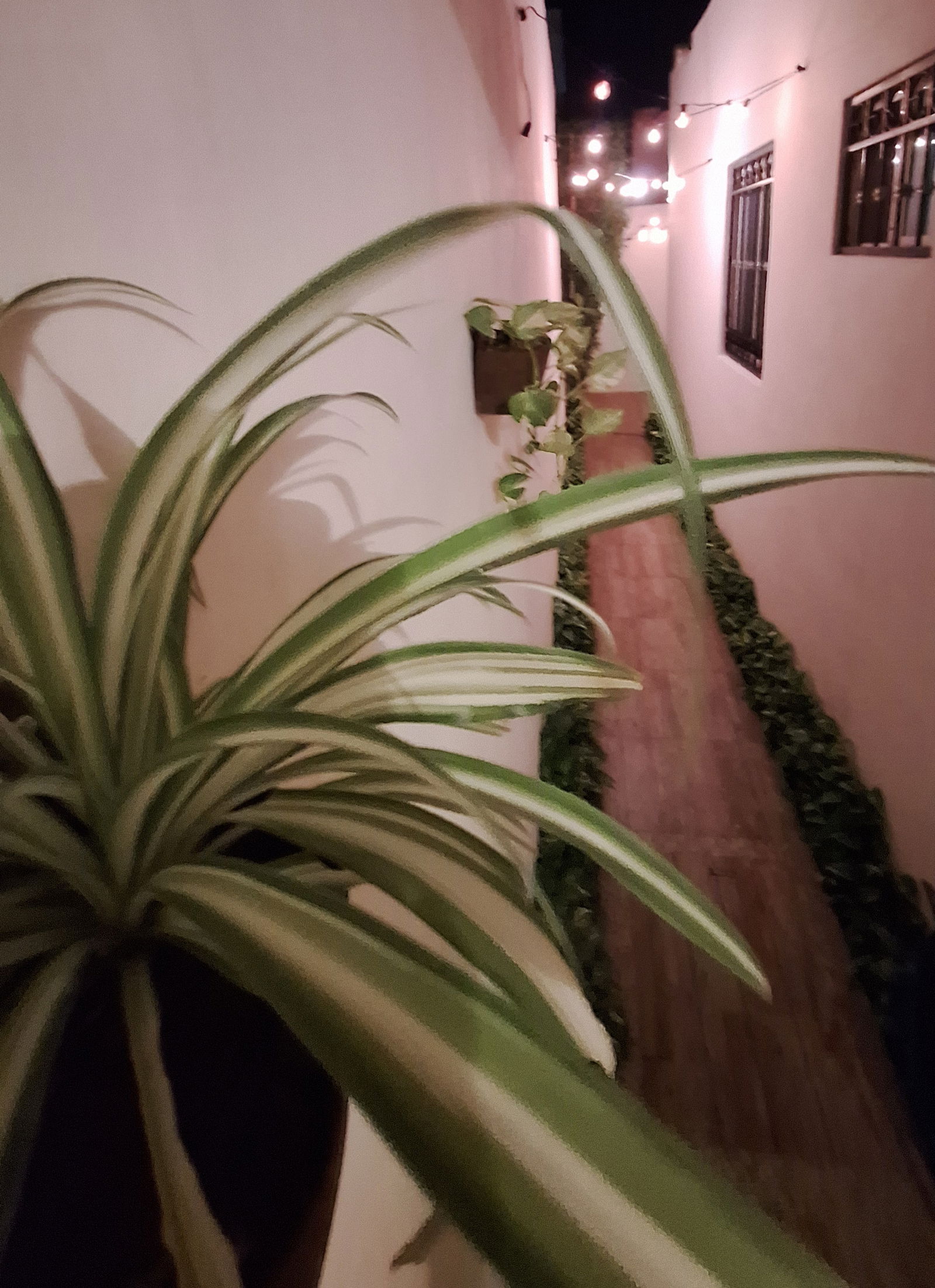 Logement Entier Cancún 530678