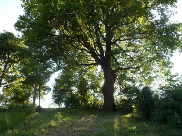 Chambre Chez L'habitant Provincia di Rimini 239313