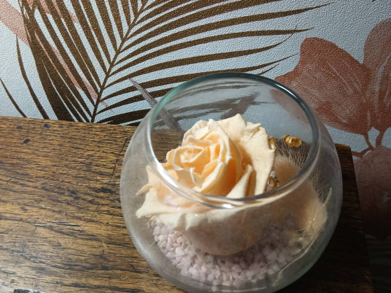 Hjemmeophold Lyon 643395-3