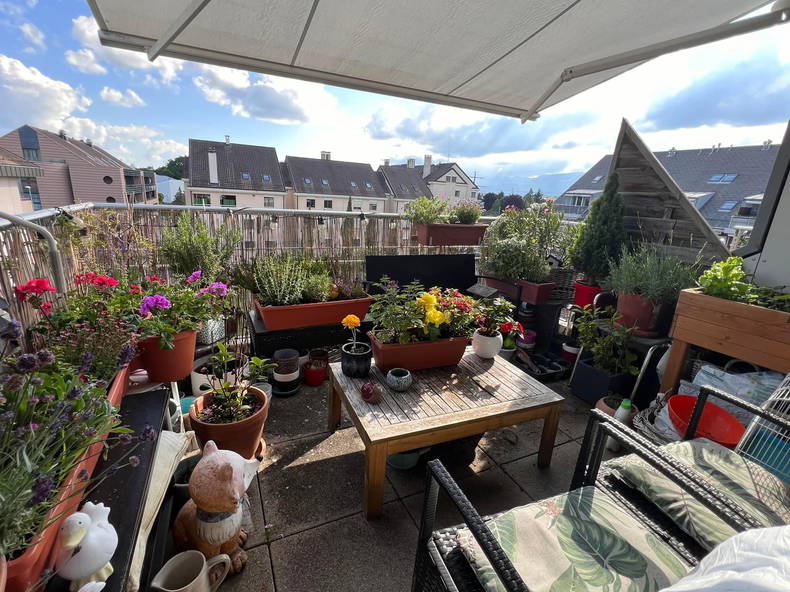 Homestay Prangins 484399-5