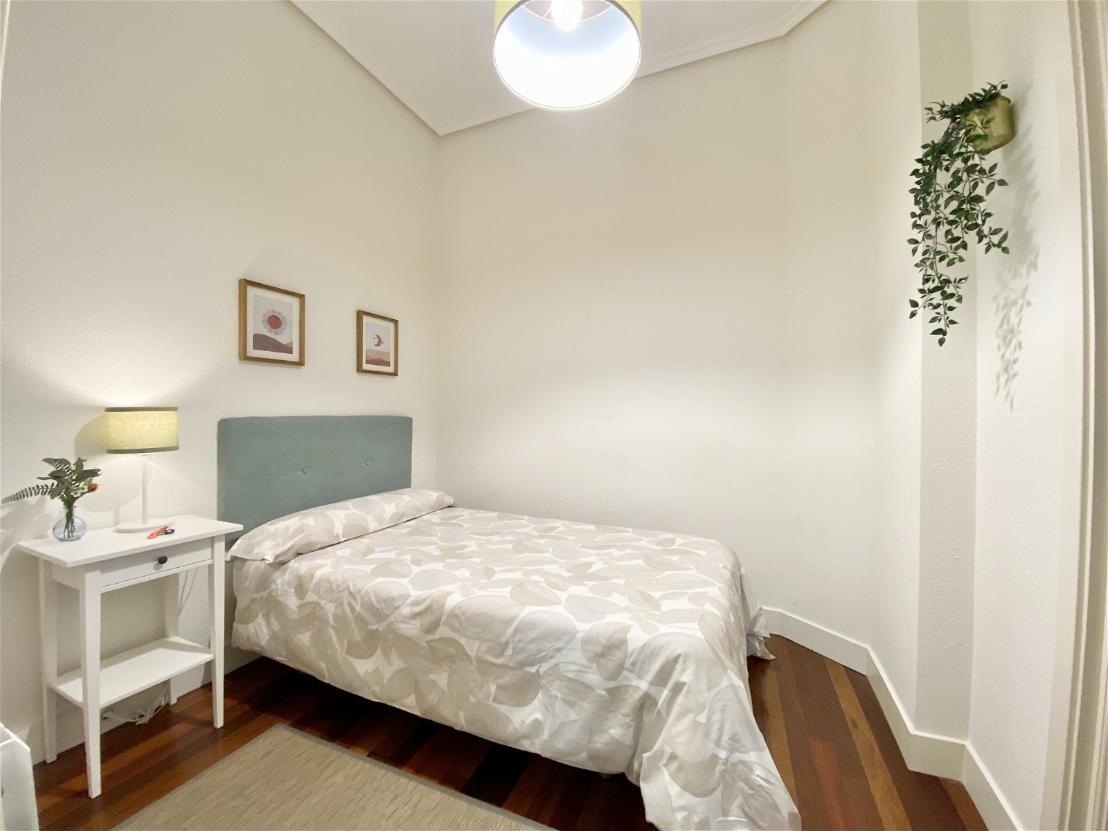 Colocation Bilbo 257974