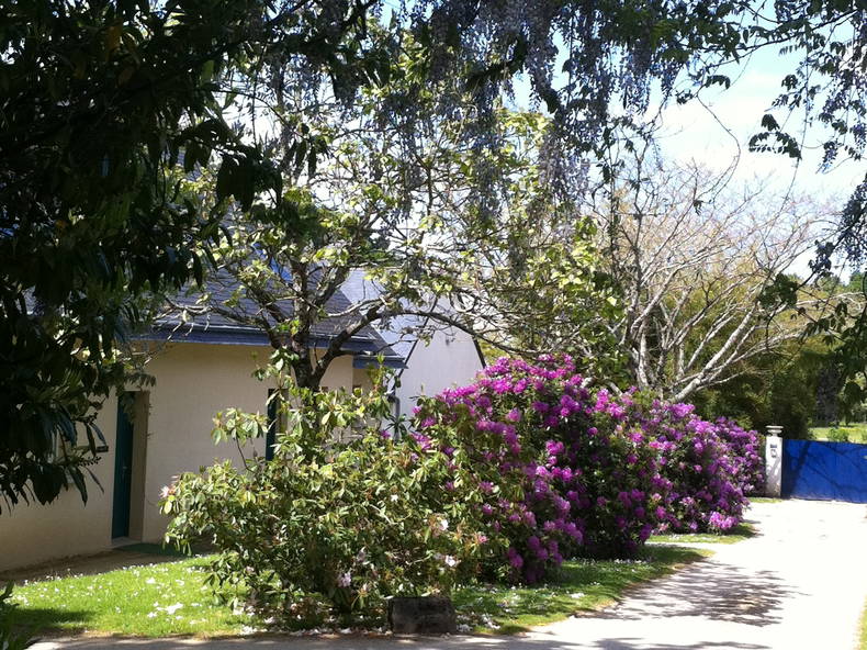 Gastfamilie Vannes 496152-5