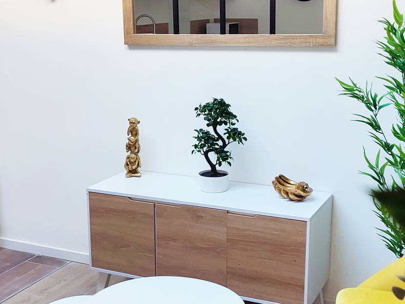 Colocation Roubaix 515158-2