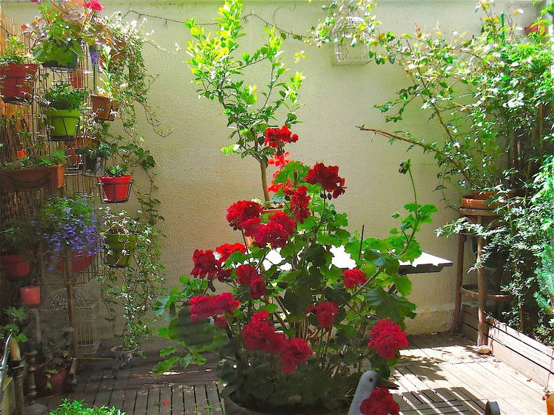 Chambre Chez L'habitant Paris 133372-2