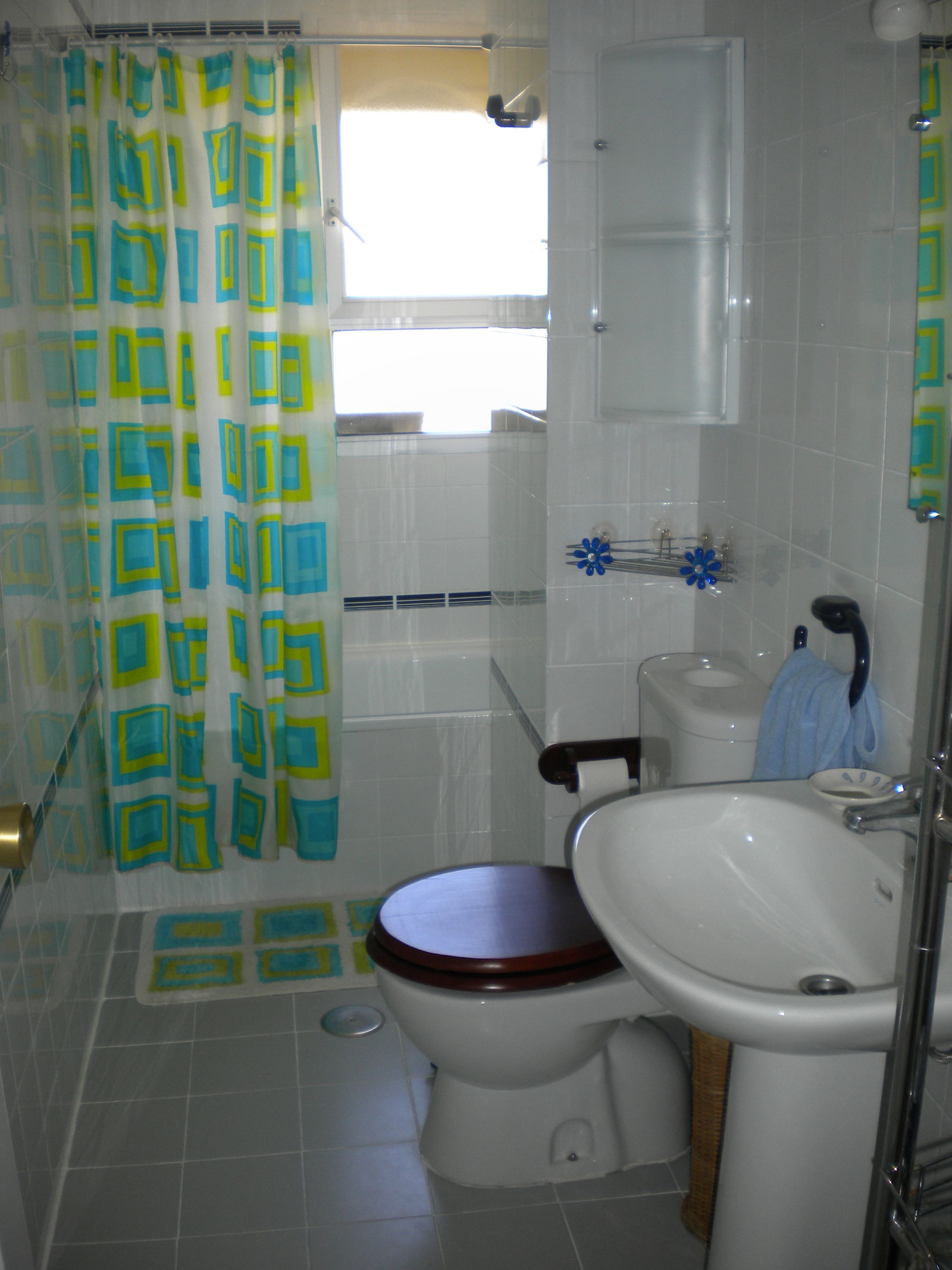 Colocation Sevilla 100206