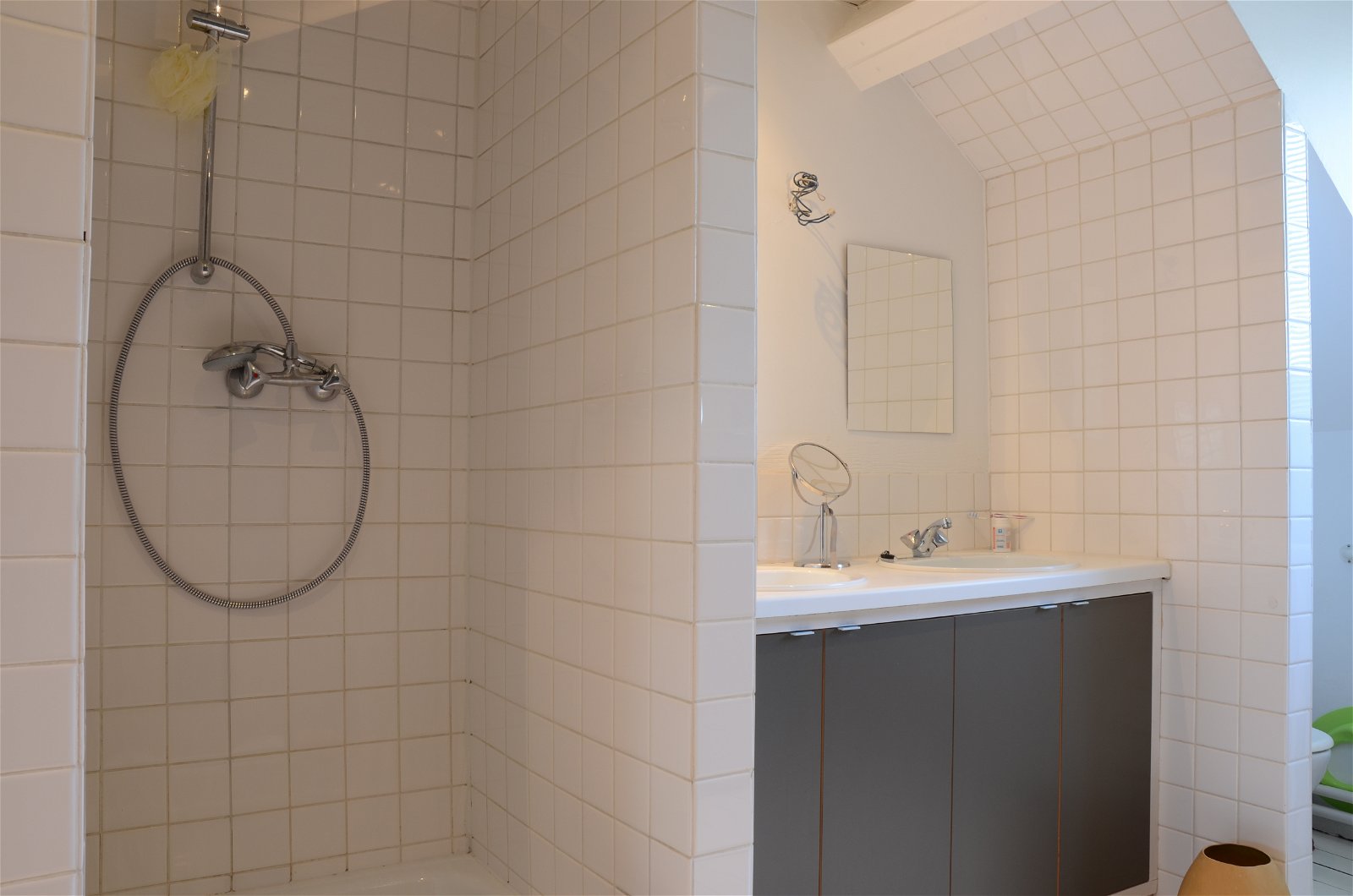 Chambre Chez L'habitant Ixelles 218894