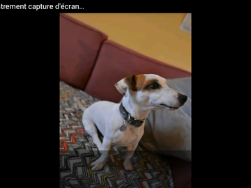 Chambre Chez L'habitant Liège 93088-5