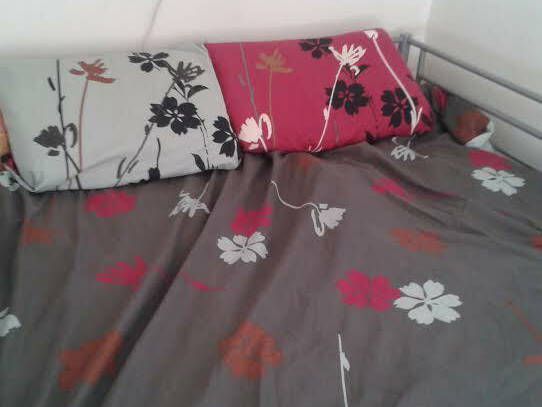 Chambre Chez L'habitant Bègles 69238-3