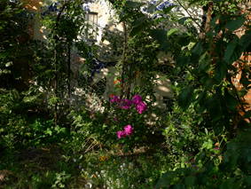 Gastfamilie Bagnolet 71554-1