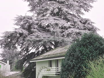 Chambre À Louer Nyon 160663