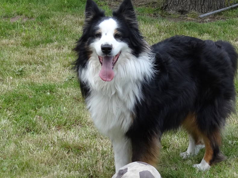 Chambre Chez L'habitant Trémentines 61422-4