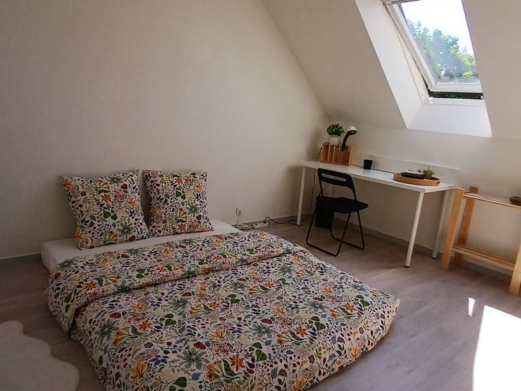Chambre Chez L'habitant Tours 608139