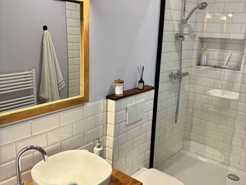 Chambre chez l'habitant à louer à Bordeaux - photo 9 : salle de bain-9