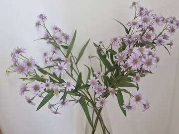 Chambre Chez L'habitant Taverny 663267-3