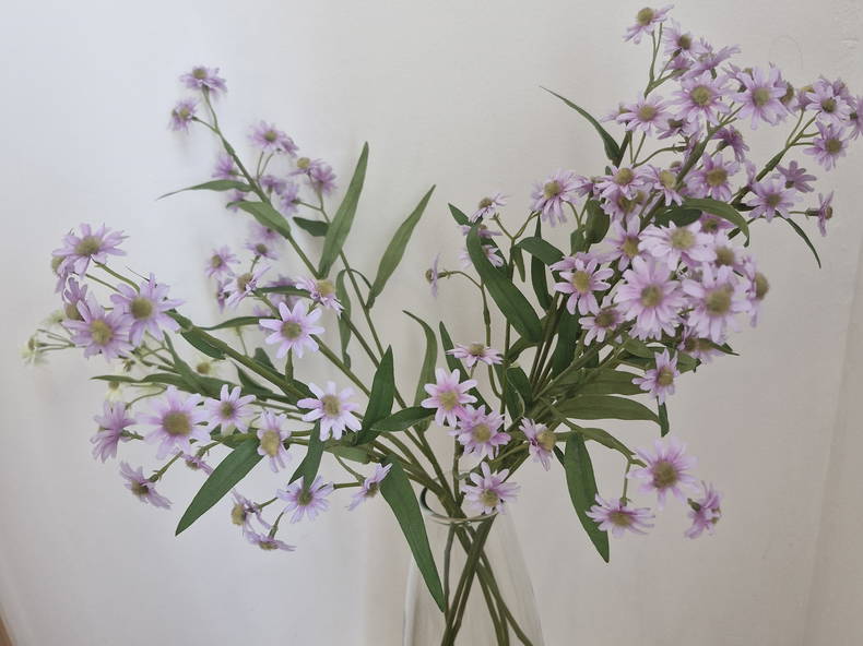 Famiglia Taverny 663267-3