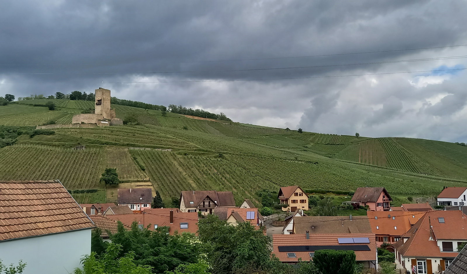 Coliving Katzenthal 674505