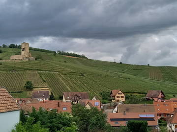 Coliving in affitto a Katzenthal - foto 6-6
