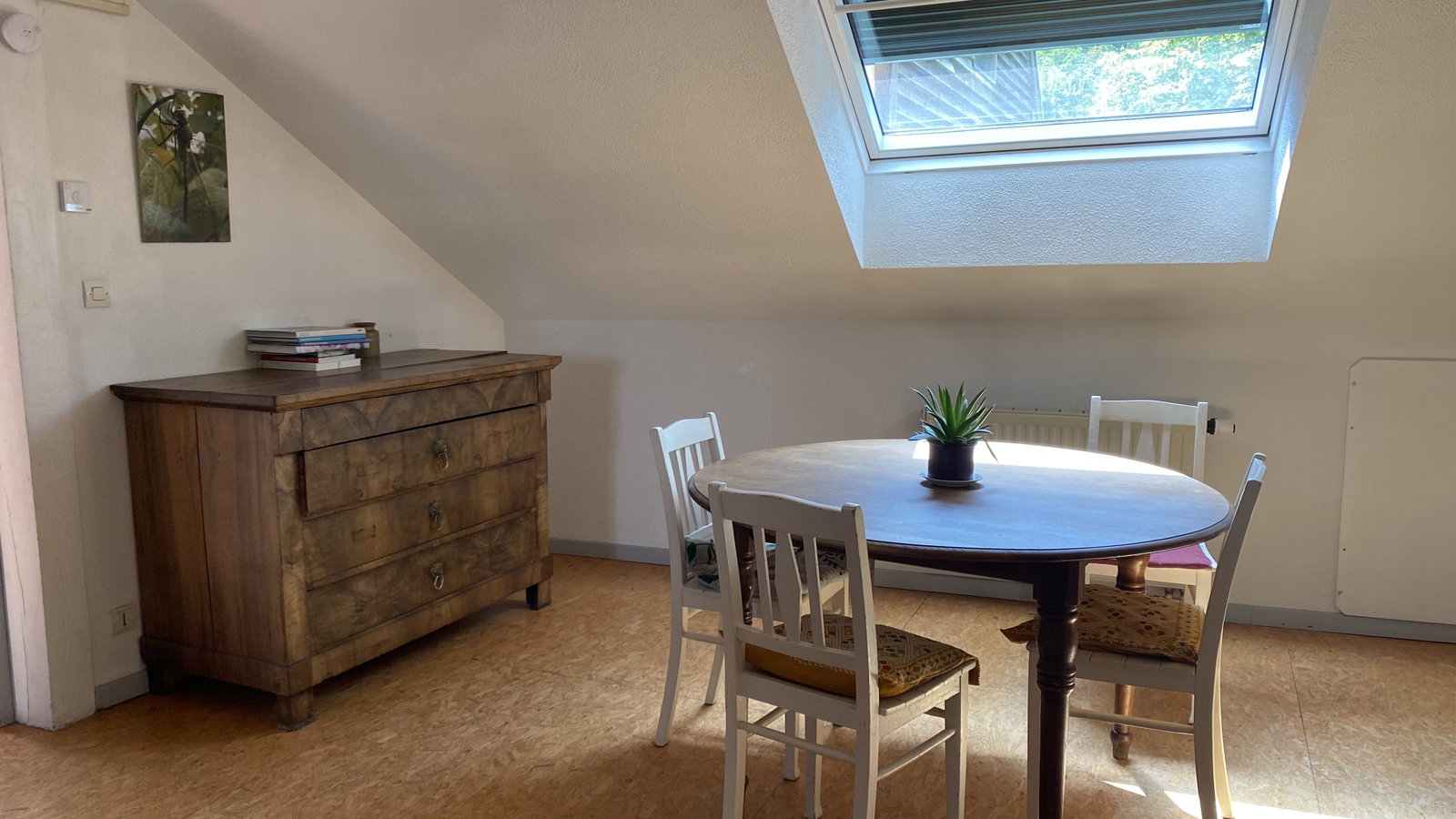 Coliving Katzenthal 674505