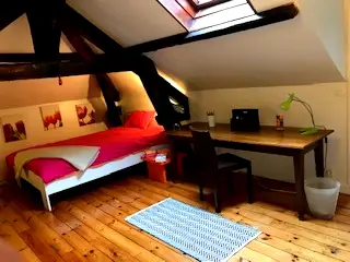 Private Room Charbonnières-Les-Bains 244988-1