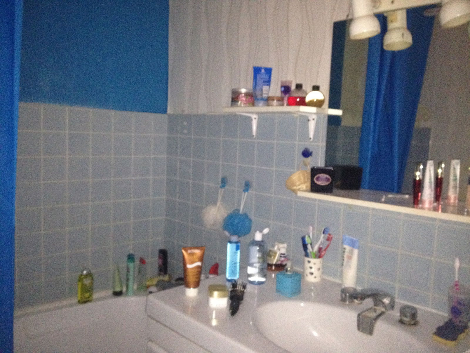 Chambre Chez L'habitant Vélizy-Villacoublay 178359